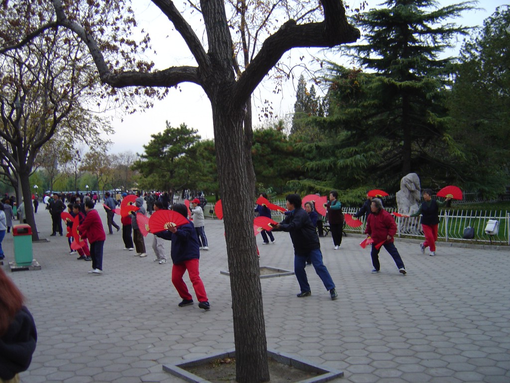 kina qi gong i parken (20)